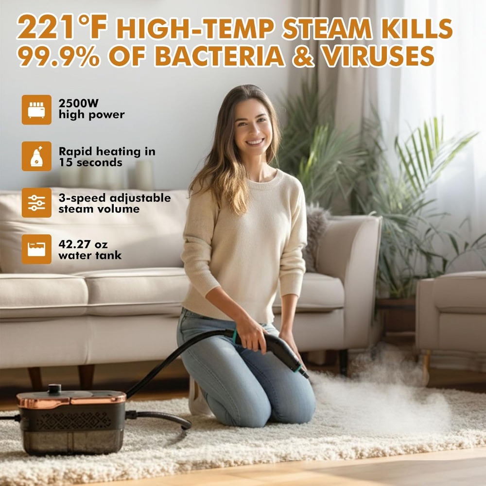 2500W Handheld Steam Cleaner,  - Home Bathroom Images 评论和价格